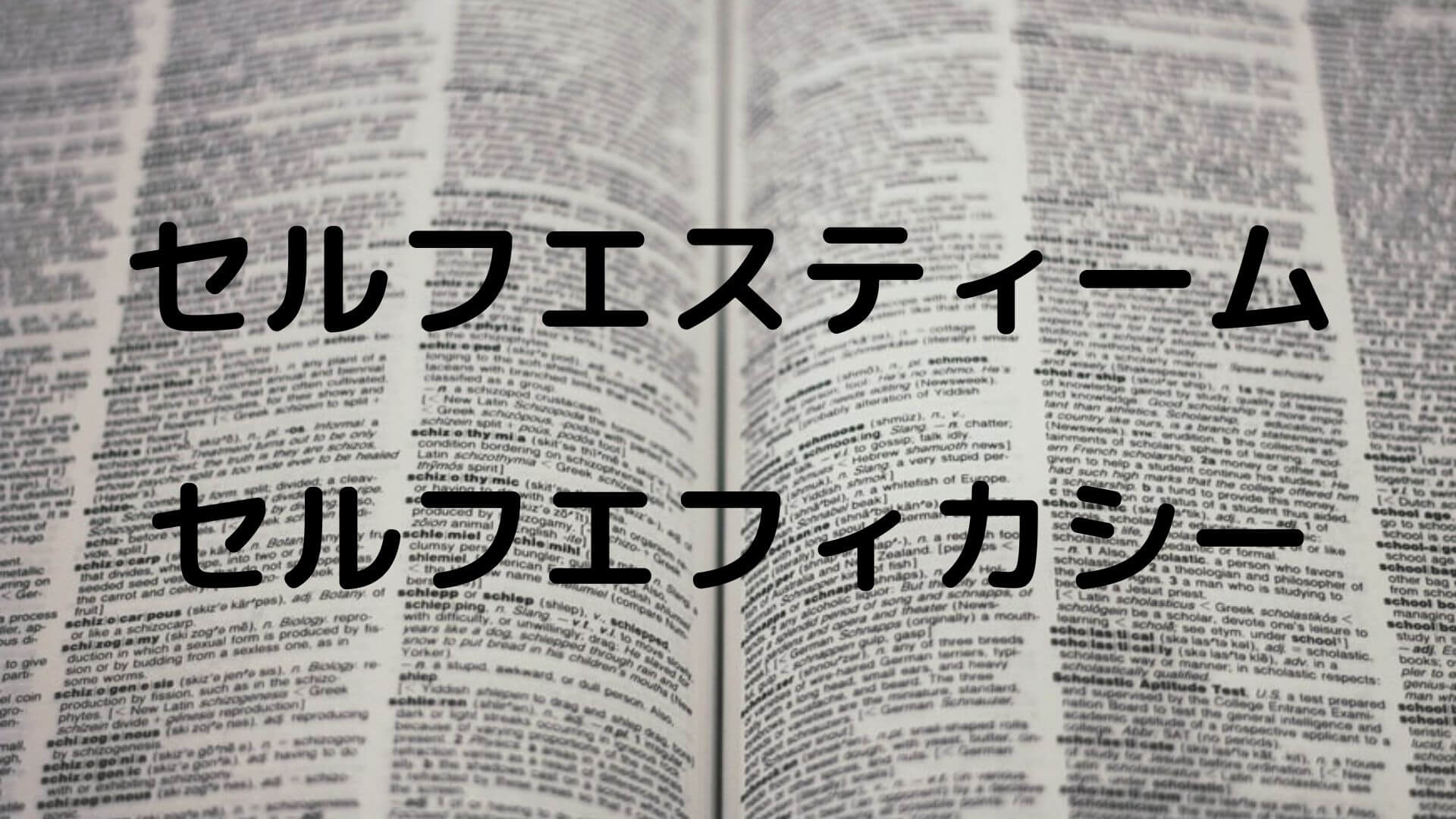 セルフエスティーム セルフエフィカシー 自己肯定感はどっちだ 精神保健福祉士国試 ２カ月で合格できる覚え方