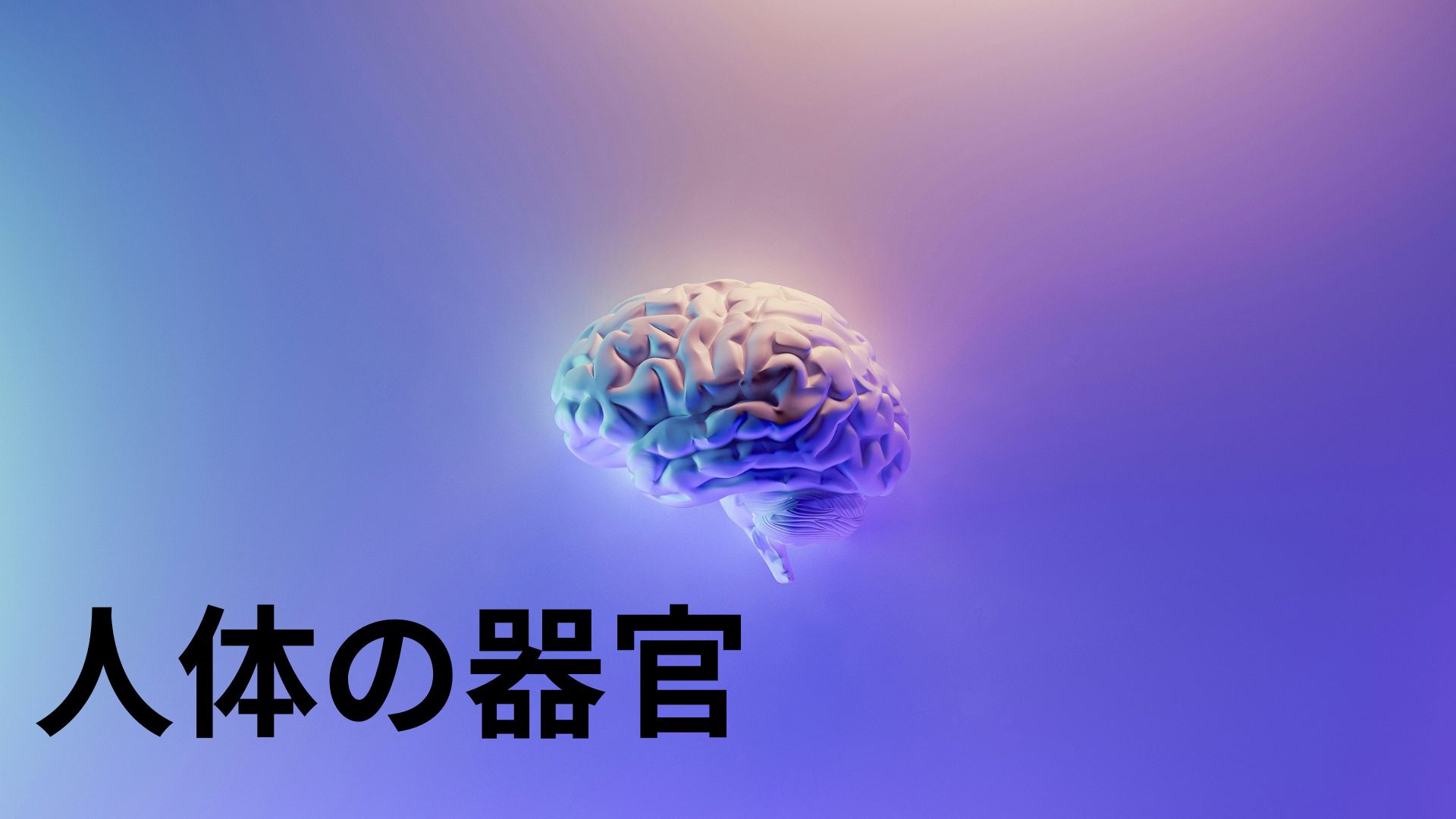 脳